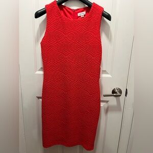 NWT, Calvin Klein, Sleeveless Textured Sheath Dress in Coral Size 10